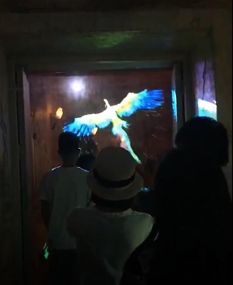 广东地区雾屏/水雾机/雾幕机/雾帘门出租效果图